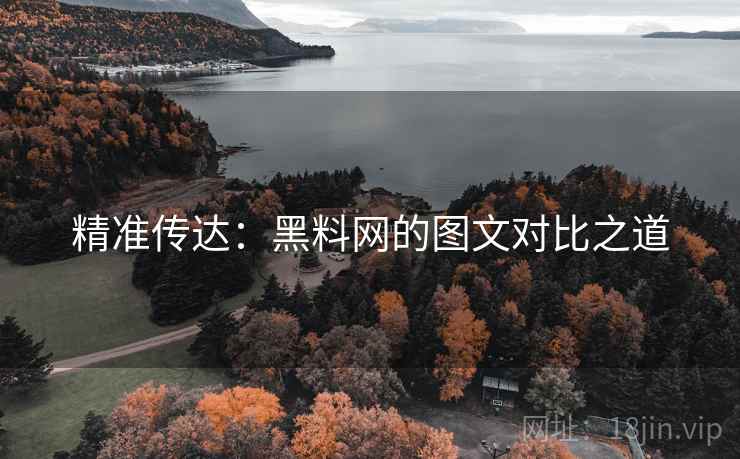 精准传达:黑料网的图文对比之道 精准传达:黑料网的图文对比之道